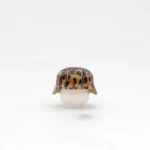German WWII Stahlhelm Helmet – Erbsenmuster (Pea Dot Camo) - Custom 3D Printed Miniature Accessory Parts Pieces for Brick Block Figures